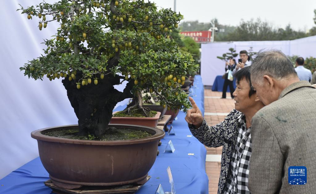 天河娱乐是不是赌博